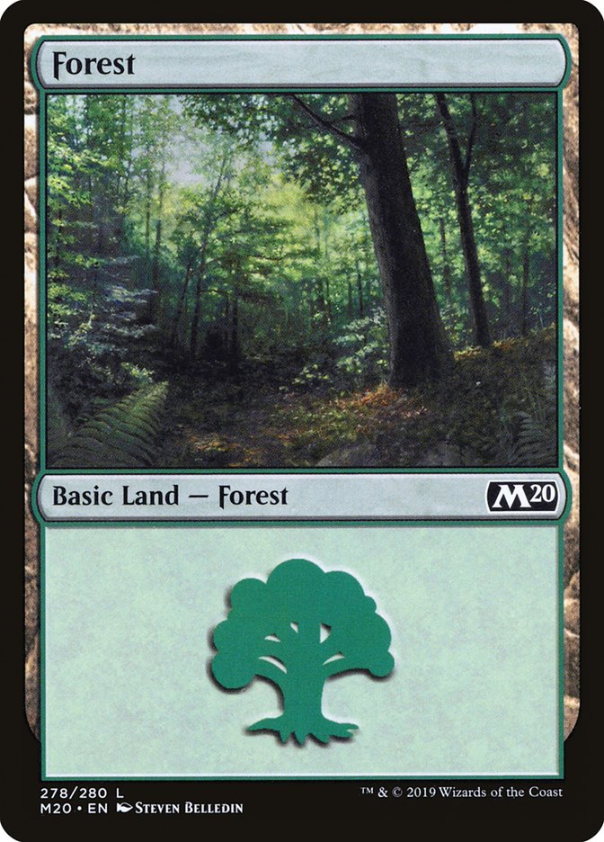 Forest front