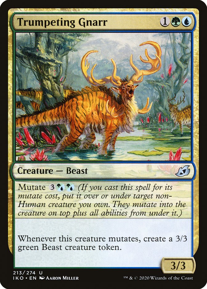 Trumpeting Gnarr front