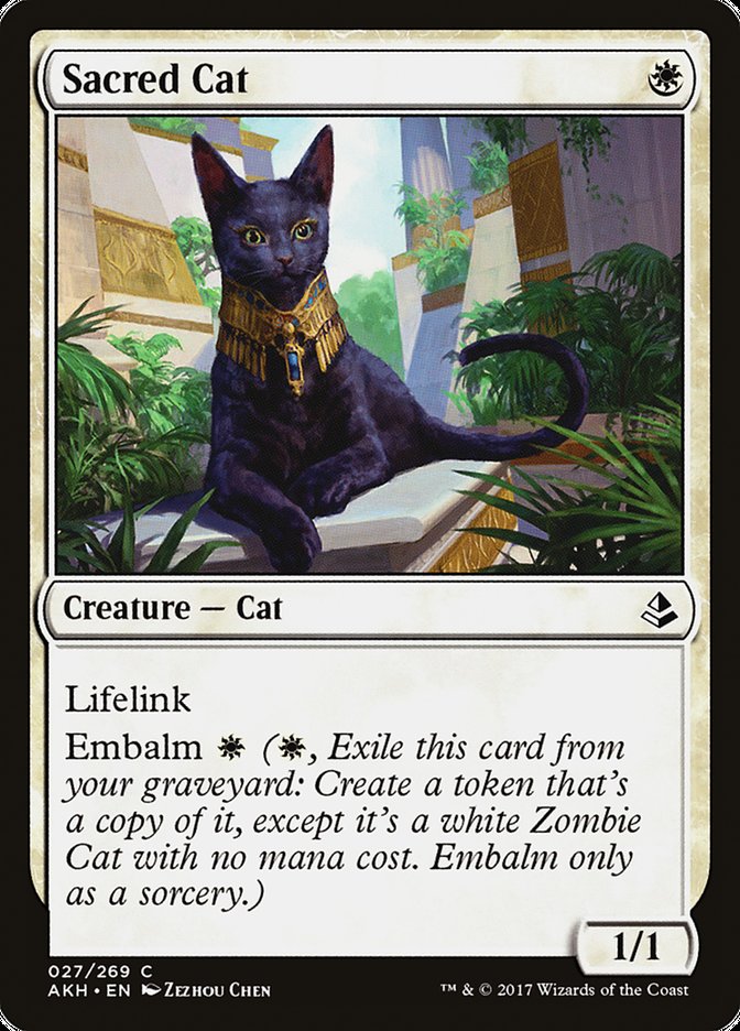 Sacred Cat front