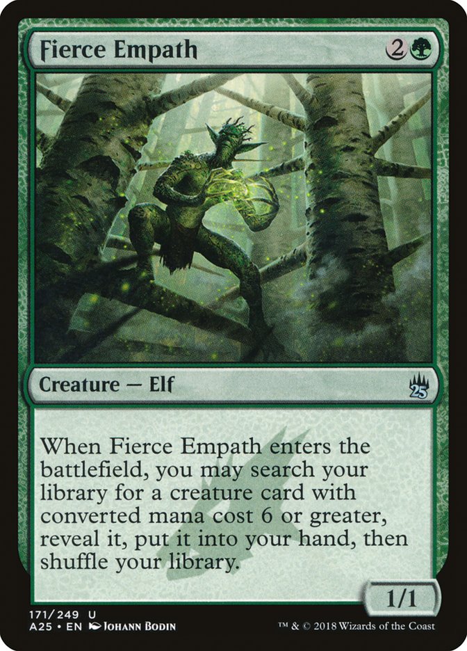 Fierce Empath front