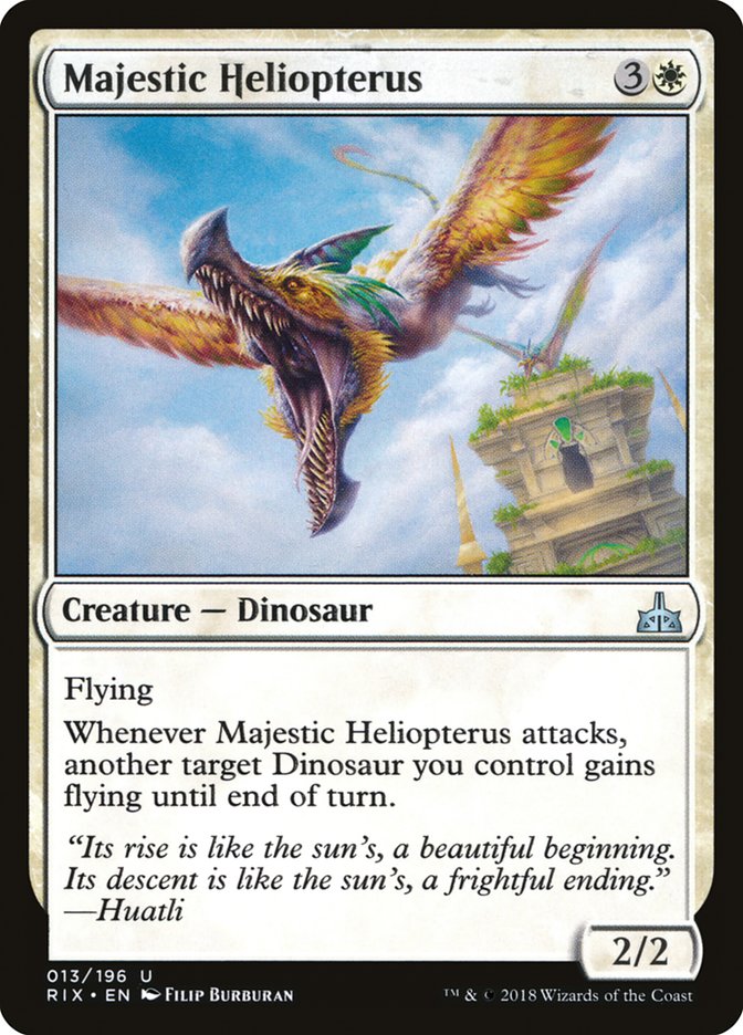 Majestic Heliopterus front