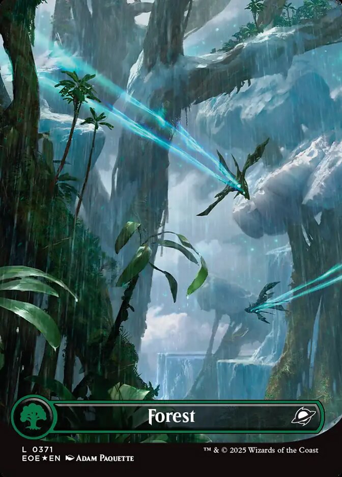 Forest front