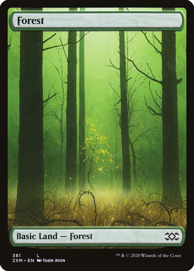 Forest front