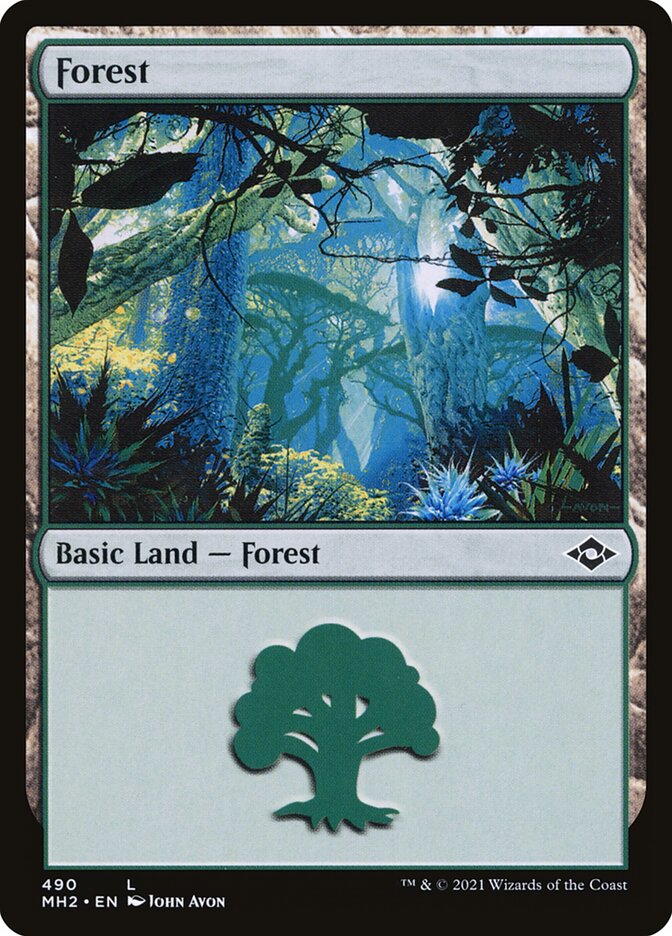 Forest front