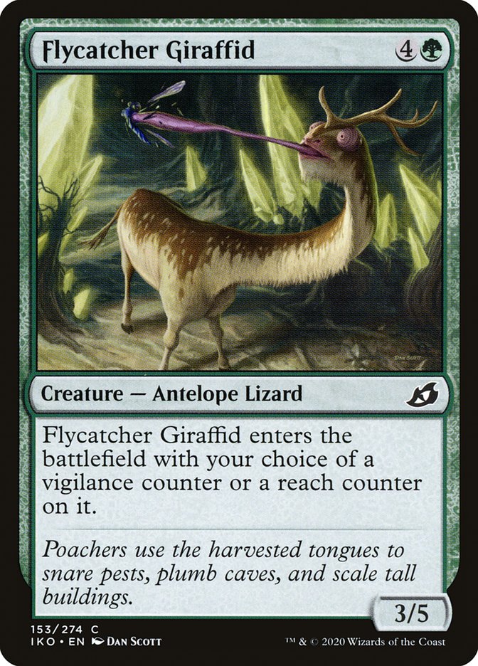 Flycatcher Giraffid front