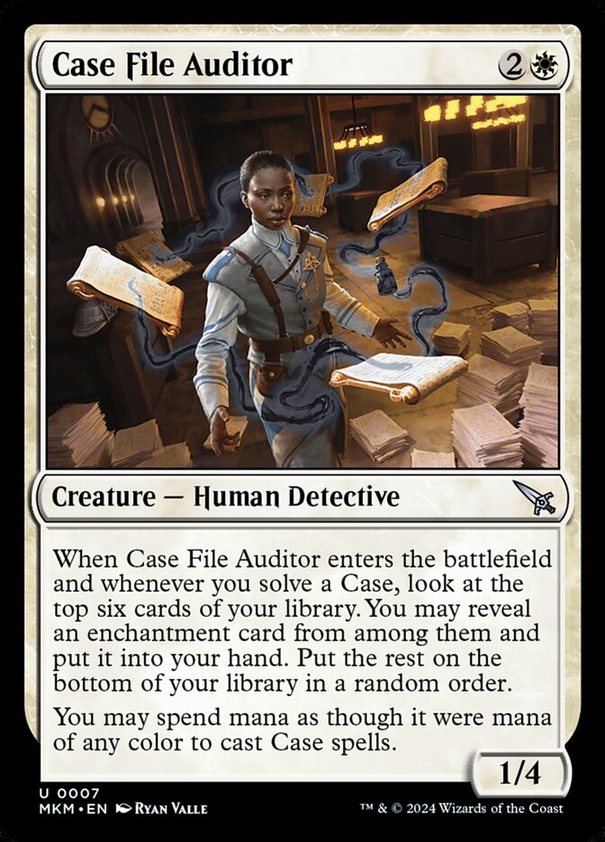 Case File Auditor front