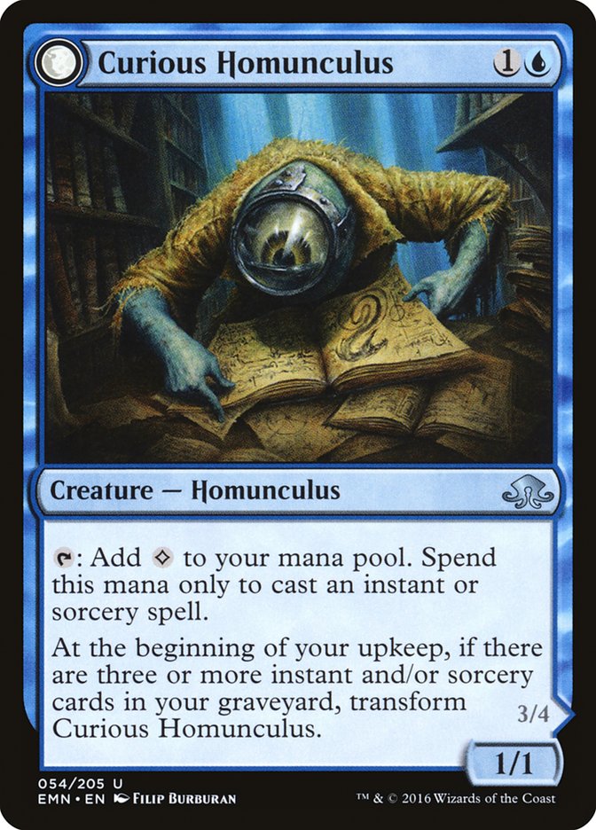 Curious Homunculus // Voracious Reader front