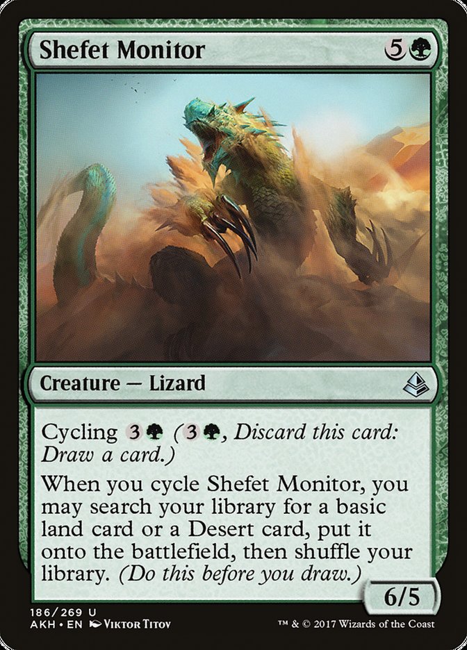 Shefet Monitor front