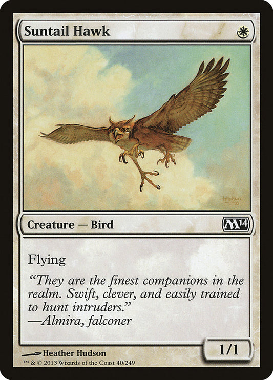 Suntail Hawk front