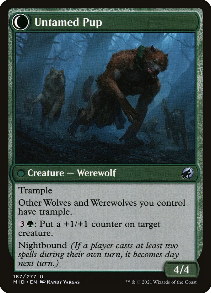 Hound Tamer // Untamed Pup back