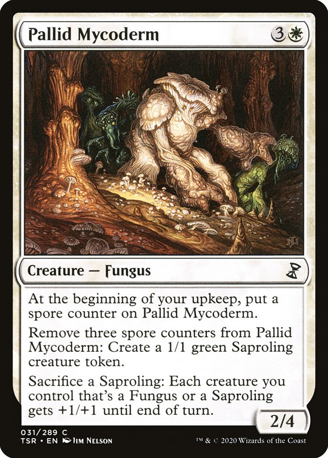 Pallid Mycoderm front