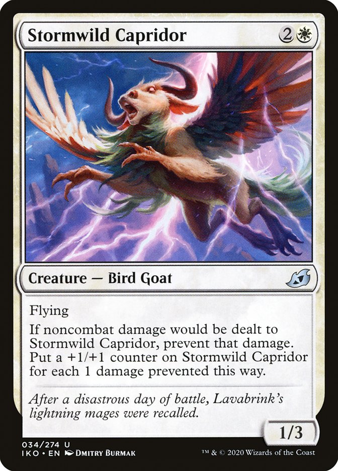 Stormwild Capridor front