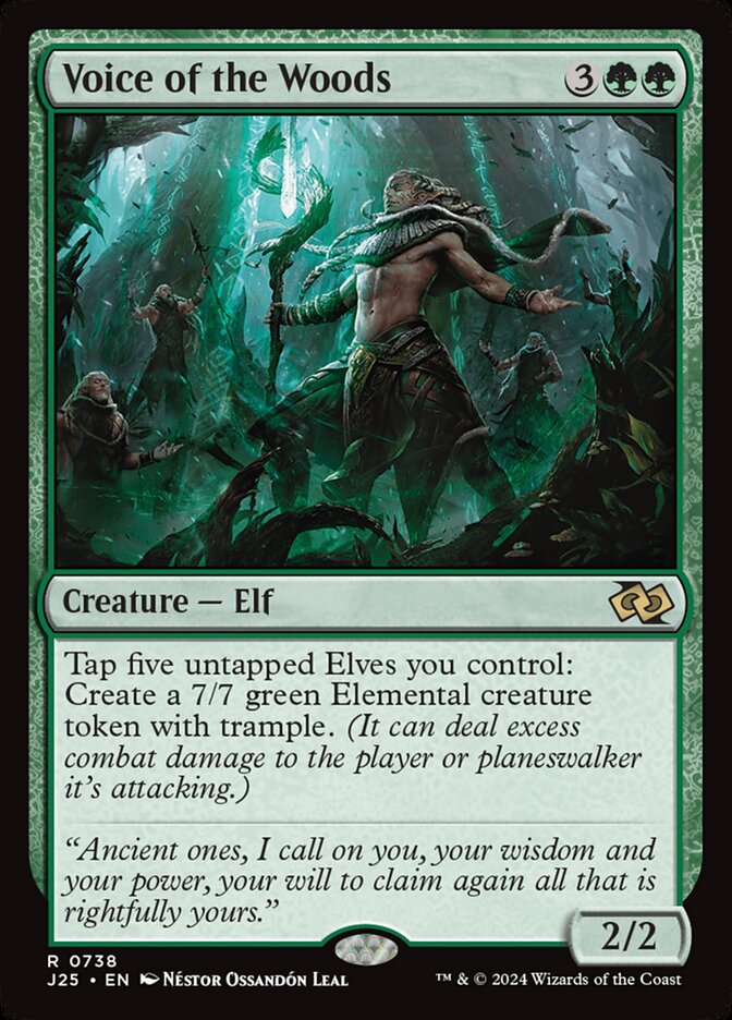 Voice of the Woods front