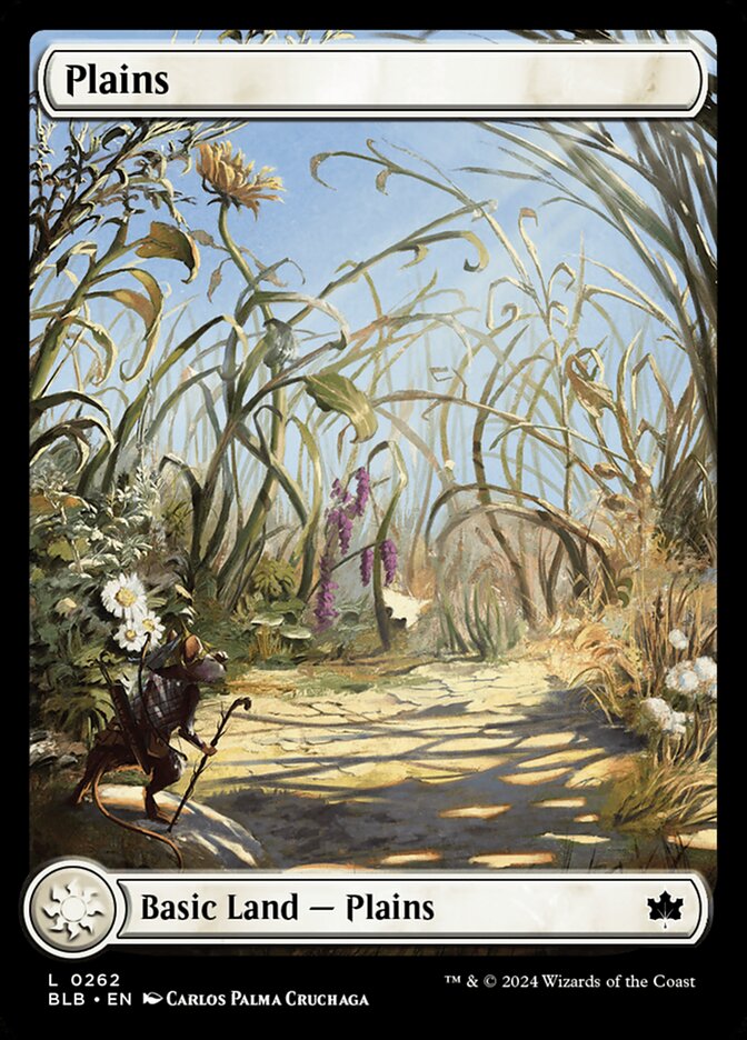 Plains front