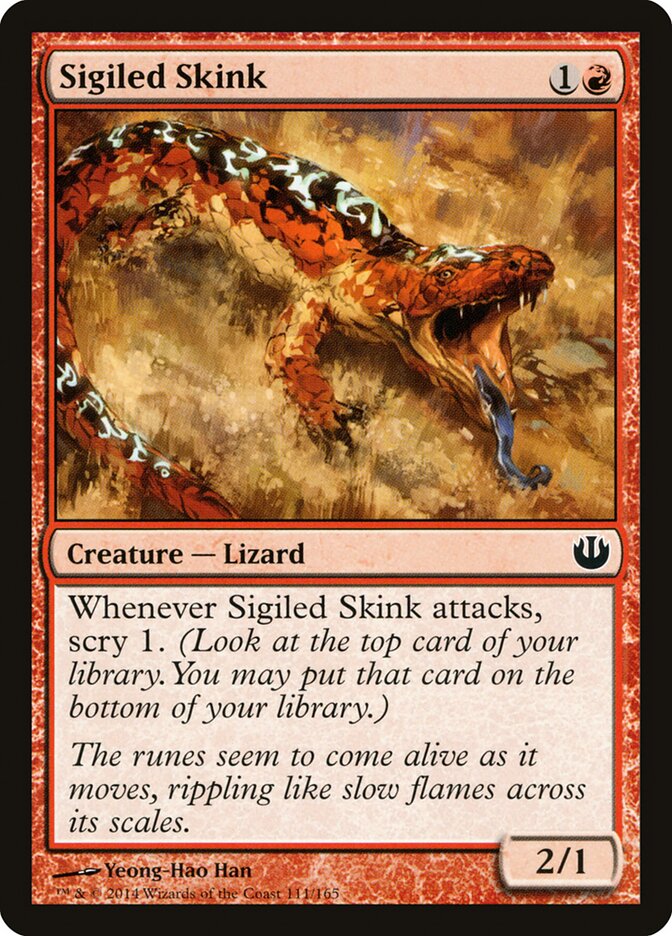Sigiled Skink front