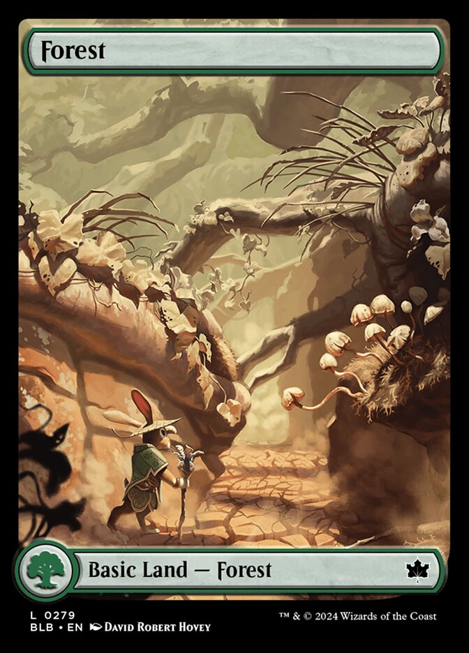 Forest front