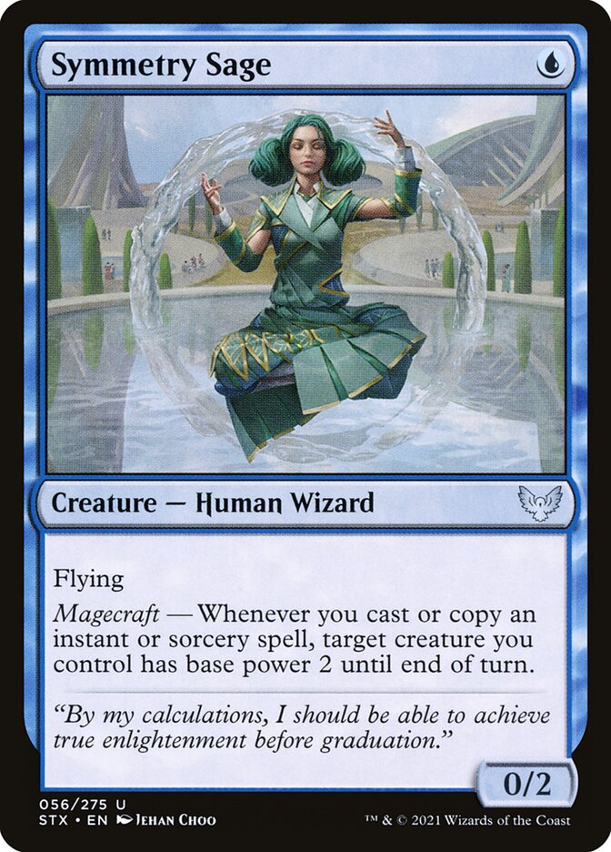 Symmetry Sage front