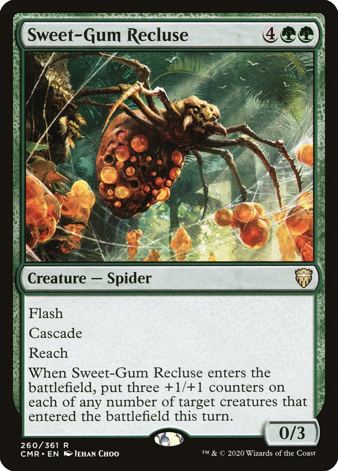 Sweet-Gum Recluse front