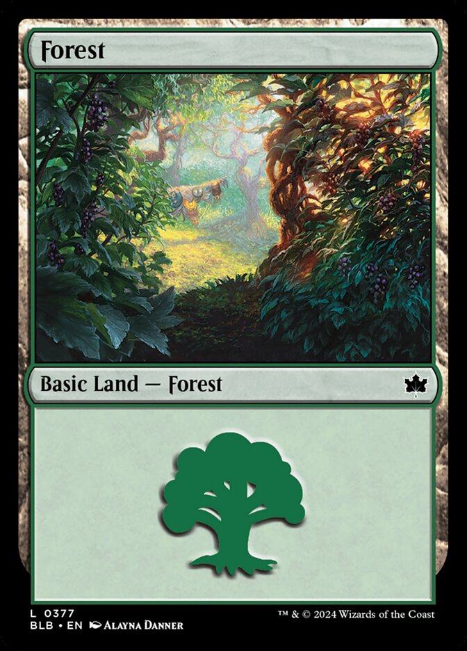 Forest front