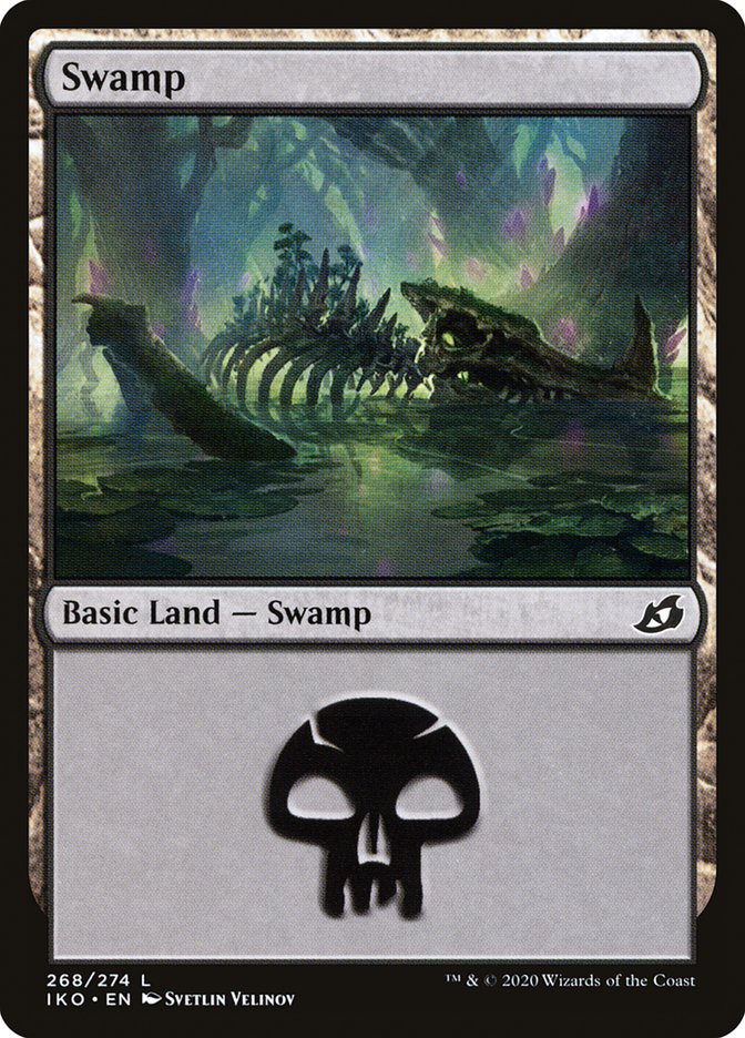 Swamp front