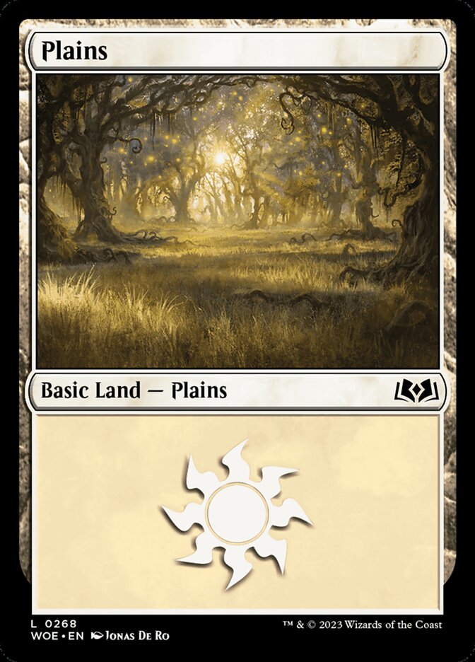 Plains front