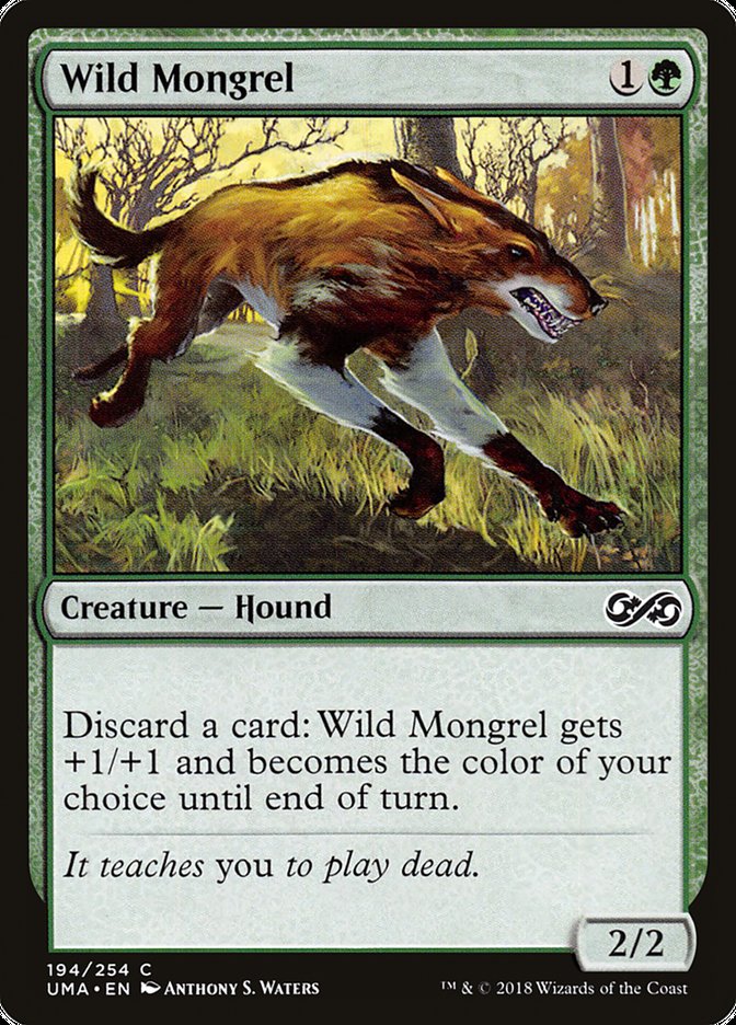 Wild Mongrel front