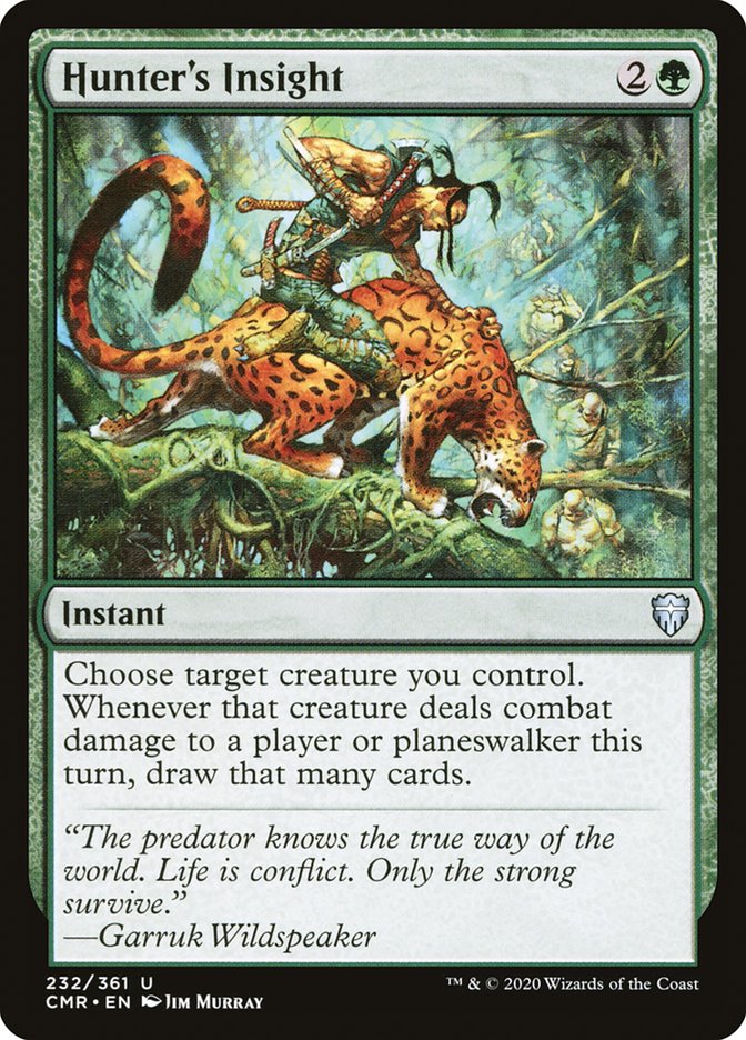 Hunter's Insight front