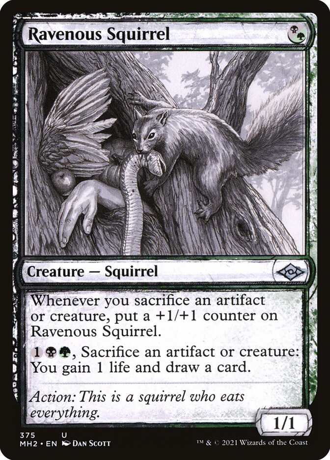 Ravenous Squirrel front