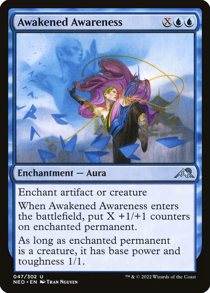 Awakened Awareness front