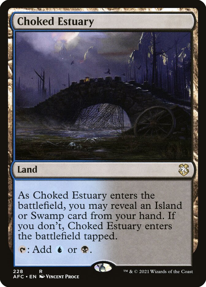 Choked Estuary front