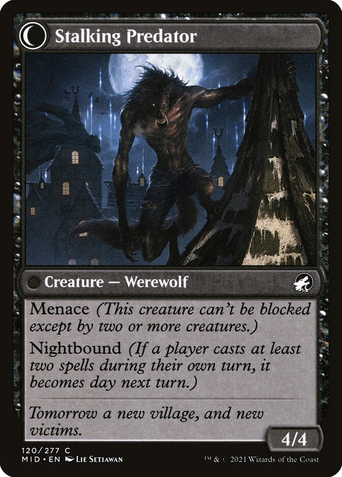 Shady Traveler // Stalking Predator back