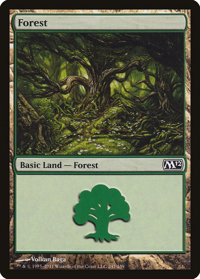 Forest front
