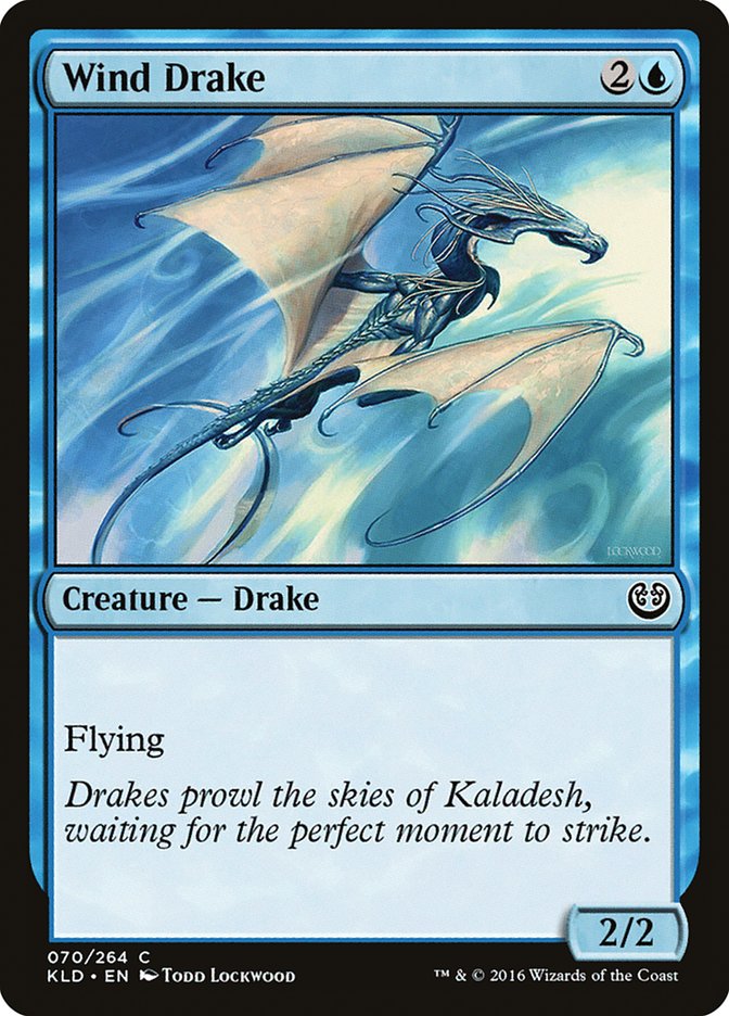 Wind Drake front