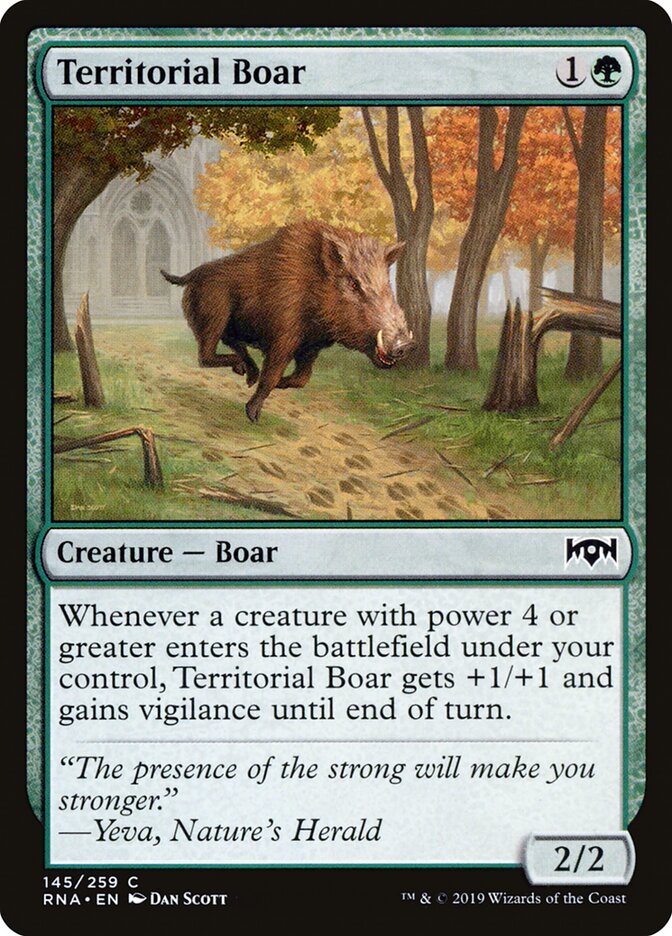 Territorial Boar front
