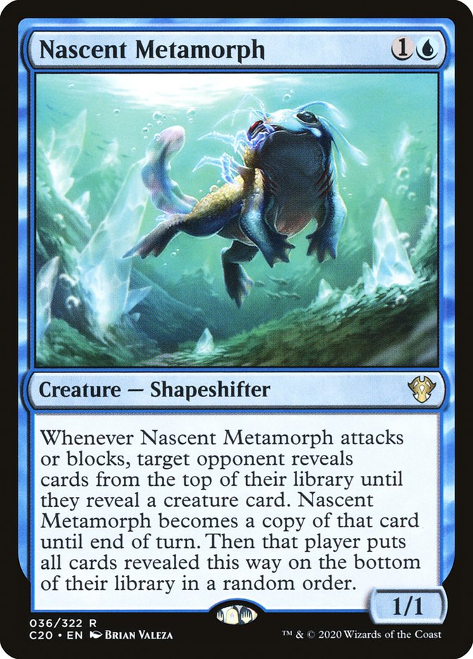 Nascent Metamorph front