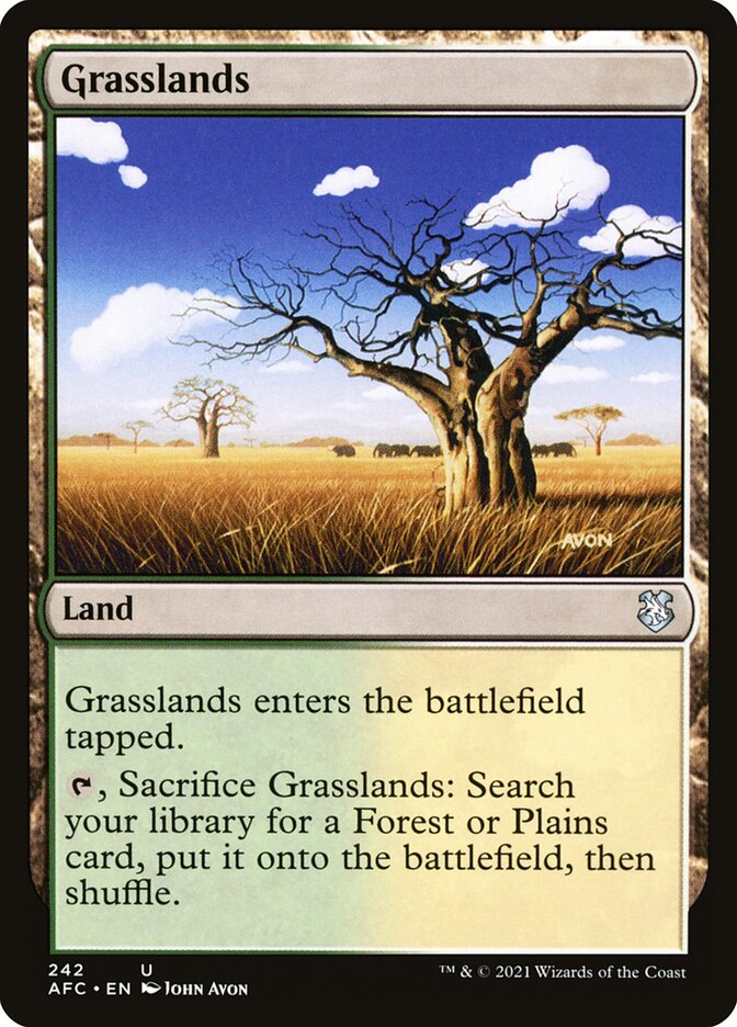 Grasslands front