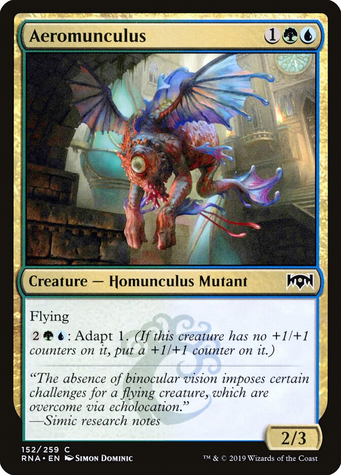 Aeromunculus front