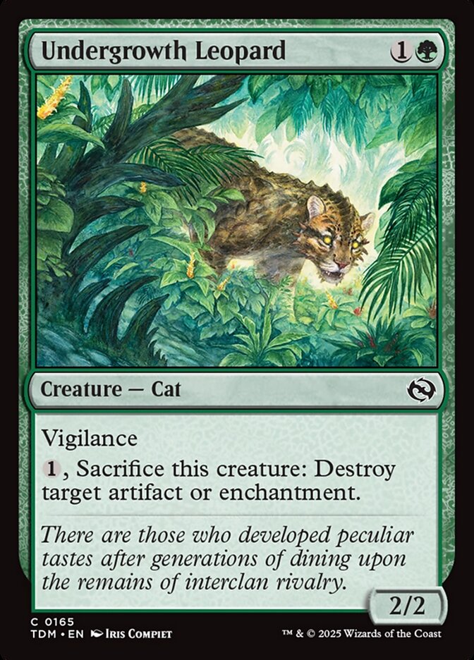Undergrowth Leopard front