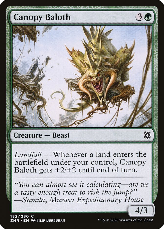 Canopy Baloth front