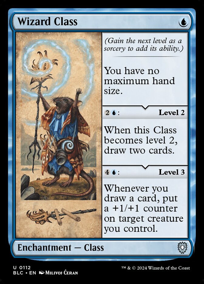 Wizard Class front