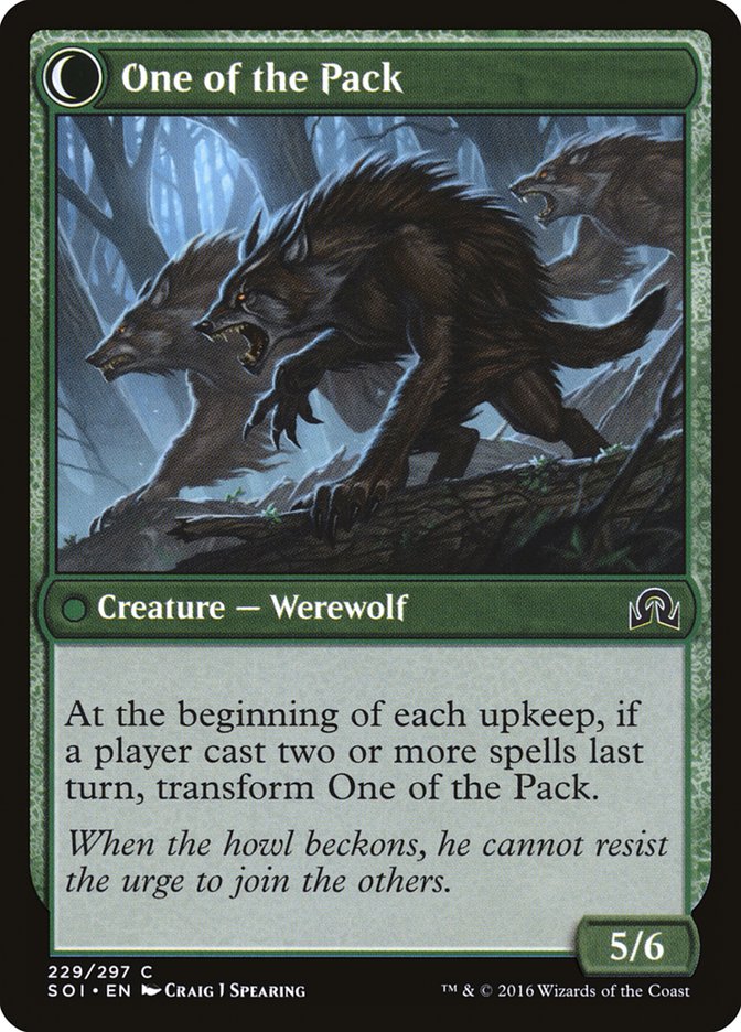 Solitary Hunter // One of the Pack back