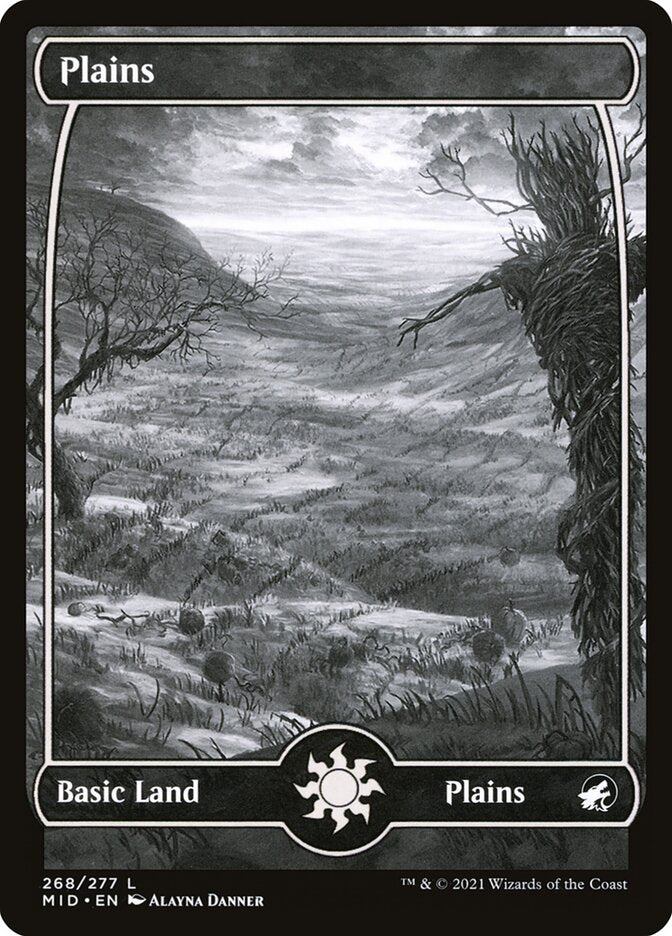Plains front