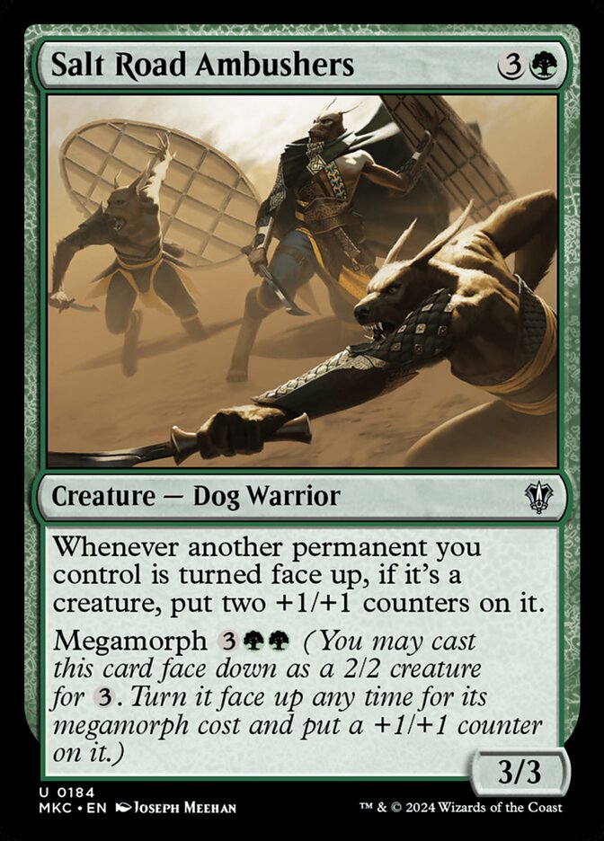 Salt Road Ambushers front