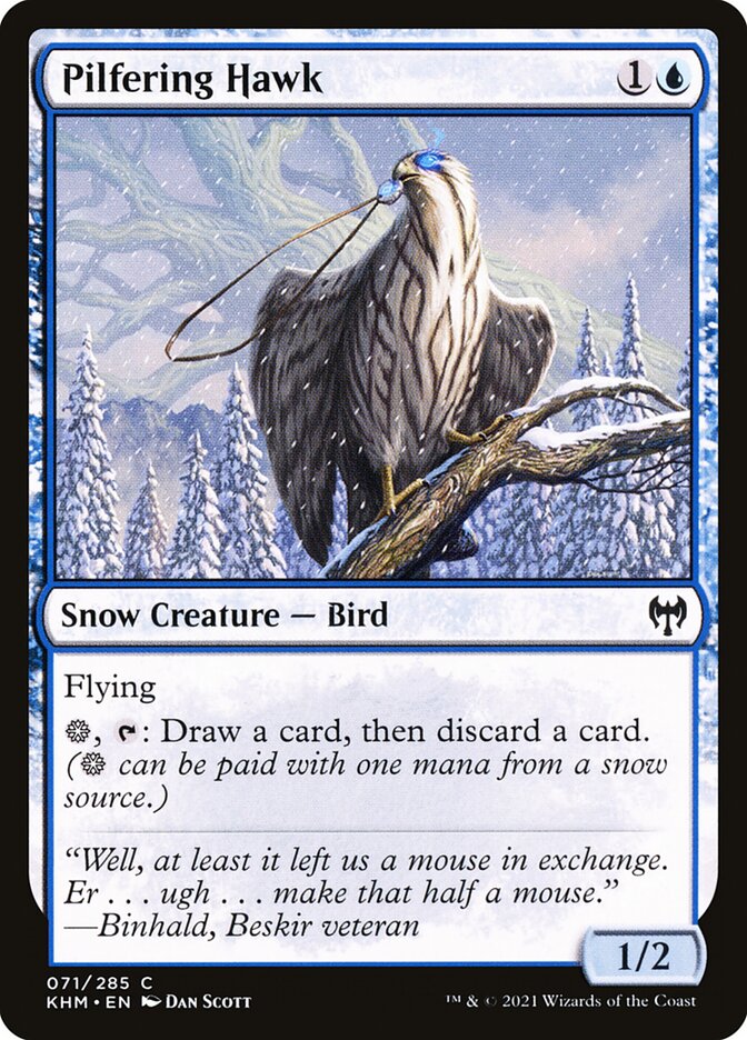 Pilfering Hawk front
