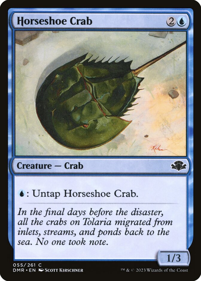 Horseshoe Crab front