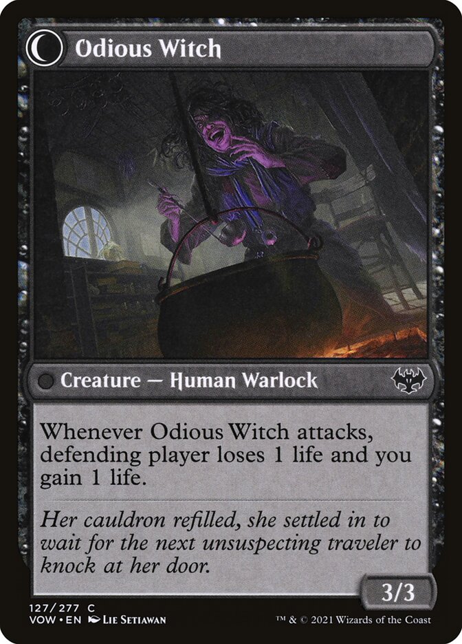 Ragged Recluse // Odious Witch back