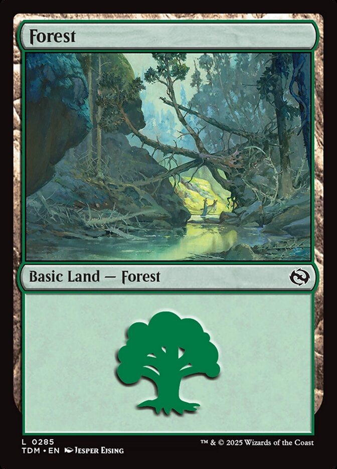 Forest front