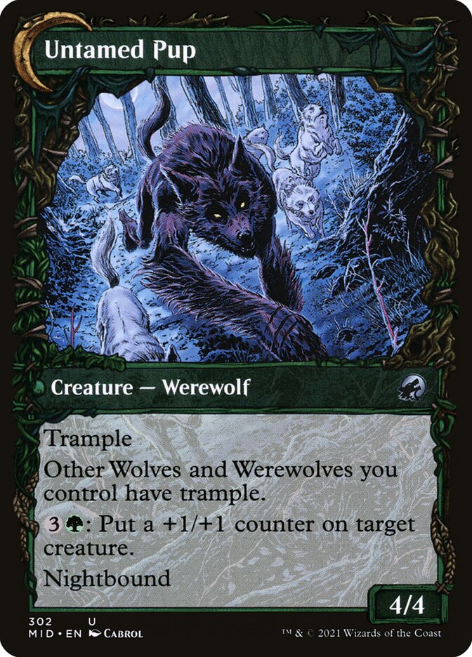 Hound Tamer // Untamed Pup back