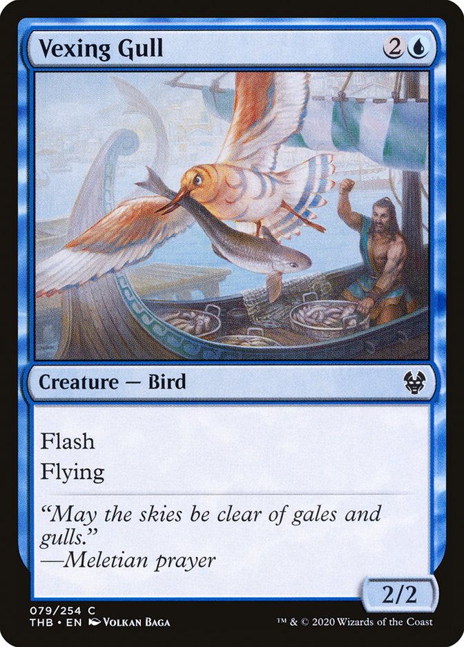 Vexing Gull front