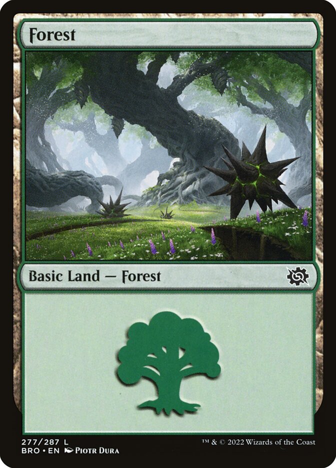 Forest front